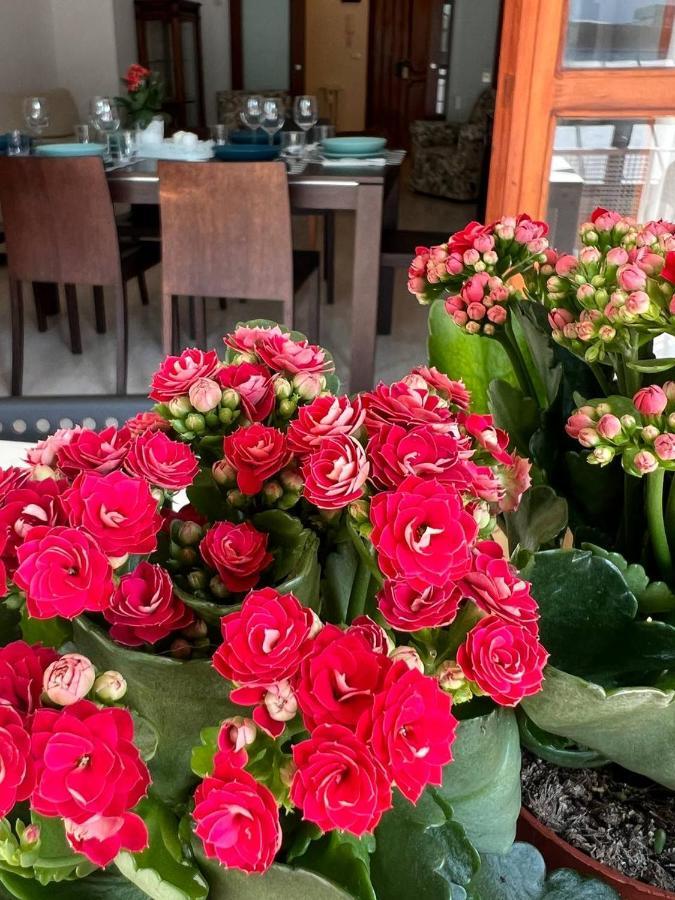 A Casa Di Nonna Leilighet Pescara Eksteriør bilde